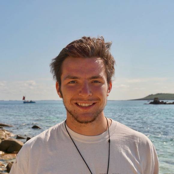 Meet your Posher, Quinn - Picture 1 of 1